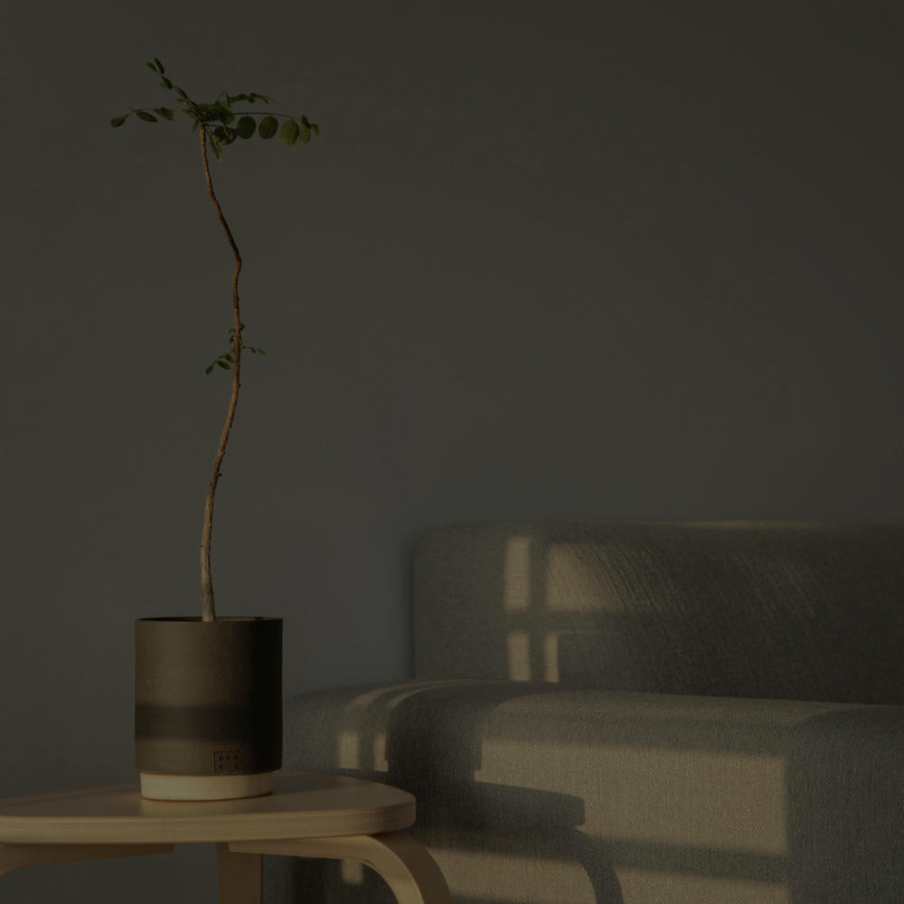 미니멀한 아름다움을 느껴 보세요