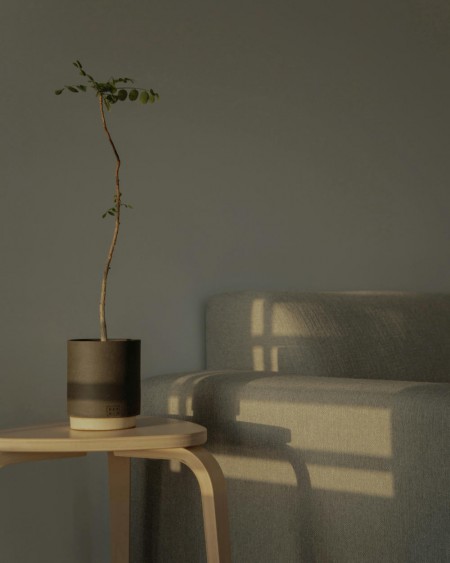 반디 클래식 아이템