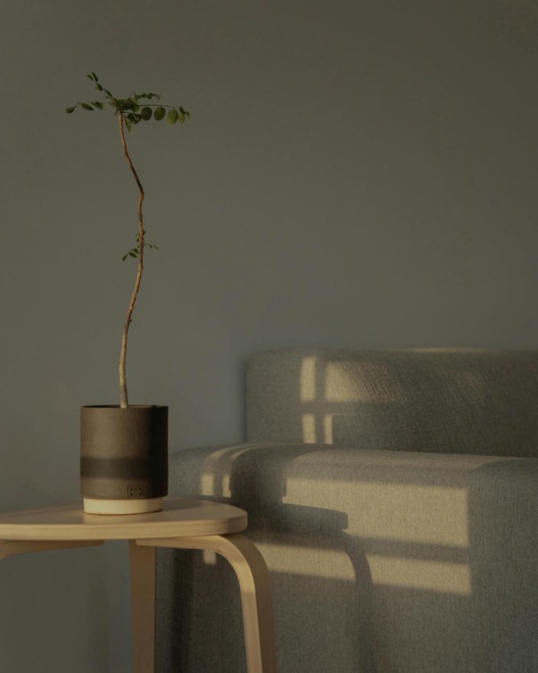 반디 클래식 아이템